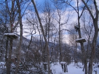 Abschneiden eines abgerissenen Astes in einem Abenteuerpark