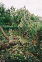 Fällen eines vom Sturm ins Wasser gestürzten Baumes