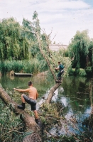 Fllen eines vom Sturm ins Wasser gestrzten Baumes