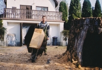  Fällung eines 202 cm starken Baumes in einem kleinen Hof 