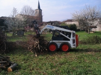 Abtransport von Rundholz und Ast
