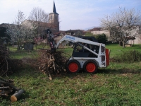 Abtransport von Rundholz und Ast